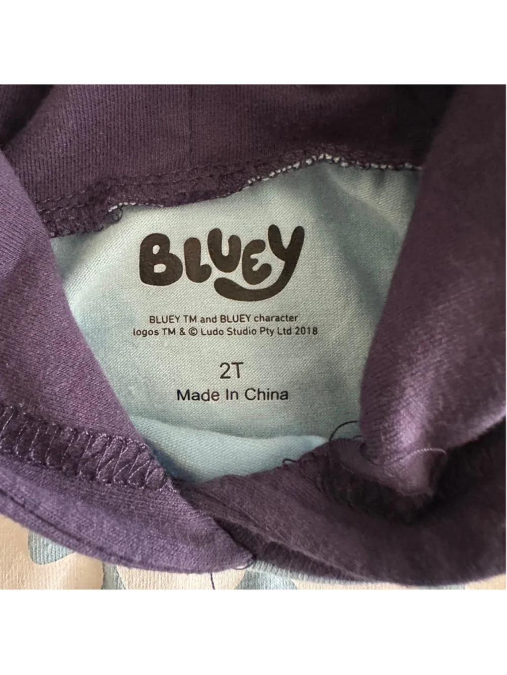 Girls Clothing Lot 2T Nike Bluey Dress Swimsuit Corgi Dino 5 Pc